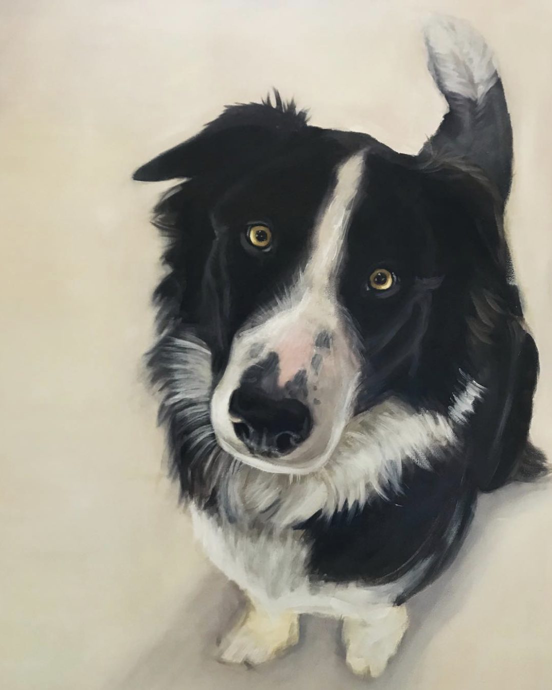 Border Collie, Ölgemälde